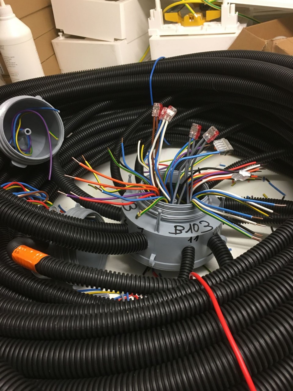 Pieuvre électriquer