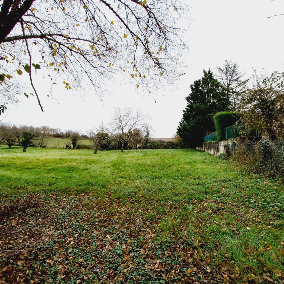 Terrain GENAY le haut