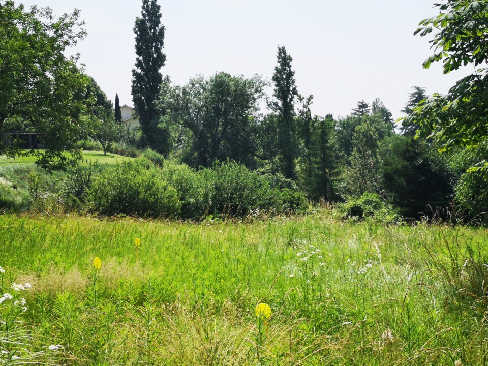 TERRAIN CHONAS L AMBALLAN