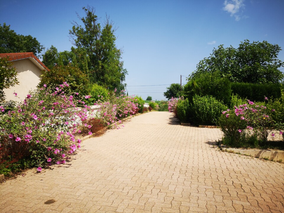 TERRAIN CHONAS L AMBALLAN